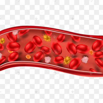 人体血管血小板医学插图