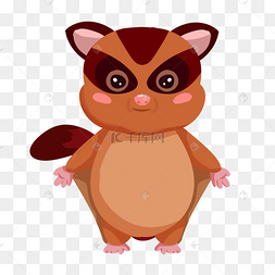 蜜袋鼯鼯鼠站立棕色幼年动物