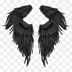 黑白风格天使羽翼翅膀素描线稿