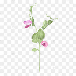 唯美婚礼装饰花豌豆花