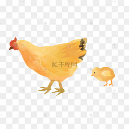 母鸡萝丝去散步