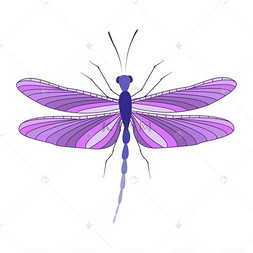 蜻蜓艺术图片-蜻蜓艺术图片素材免费下载-千库网