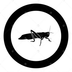 grasshopper图标图片