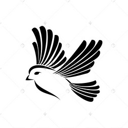 麻雀剪影孤立的鸟在飞行中.