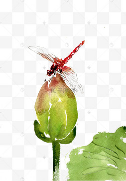 红色的蜻蜓水墨