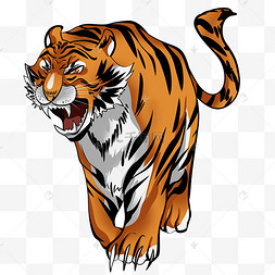 虎年凶猛动物老虎猛虎虎年咆哮虎