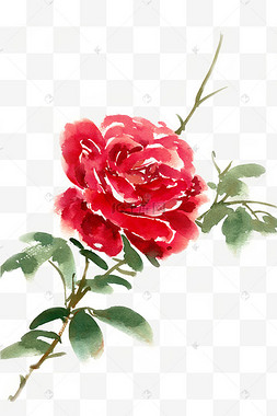 psd元素红色黄色鲜艳花朵春天花卉边框手绘花卉红色主题相关素材推荐