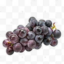 蓝莓葡萄