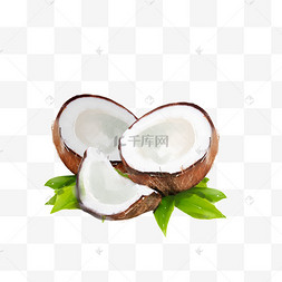 椰子椰子树手绘风格热带树叶边框夏季昆虫蝴蝶海洋岛卡通.