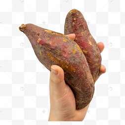 红薯食品