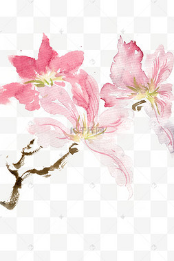 红色美丽图片-红色美丽图片素材免费下载-千库网