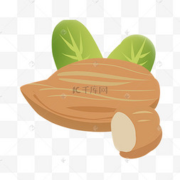手绘插画新年坚果桃仁新年坚果桃仁新年坚果零食桃仁新年坚果杏仁扁桃