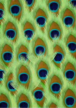 孔雀翎底纹纹理