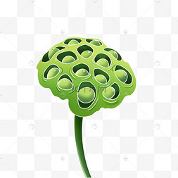 莲蓬简图