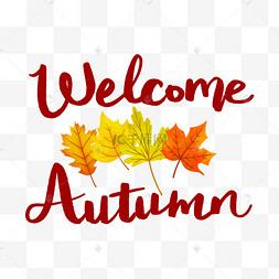 秋季英文装饰字花体字秋黄色唯美卡通立秋落叶插画秋季英文装饰字花体