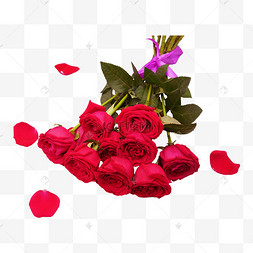 一把玫瑰花