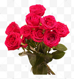 一把玫瑰花