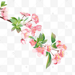 水彩海棠花樱花春天樱花树樱花花瓣古风梦幻荷花荷叶插画夏天夏至立夏