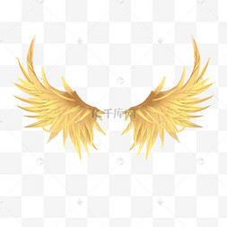 展开的金翅膀