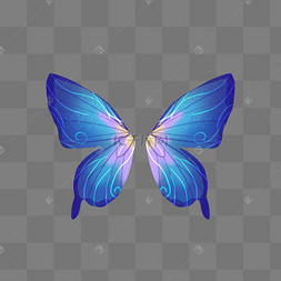 蝴蝶翅膀蓝