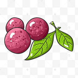 插画夏天杨梅水果杨梅水果水墨风杨梅手绘插画杨梅叶子花草杨梅水墨风