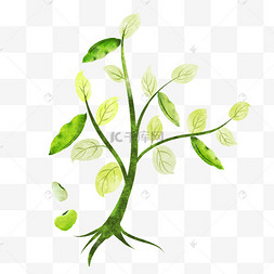 手绘蚕豆吃吃吃表情包蚕豆怪味豆兰花豆五香蚕豆蚕豆零食壳子蜗牛壳