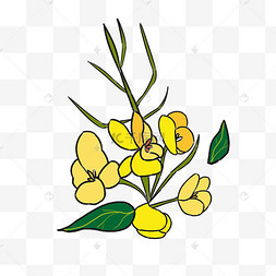 手绘油菜蔬菜插画卡通绿色油菜插画手绘绿色白菜插画油菜花粉花手绘