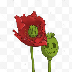 国际禁毒日手绘恐怖罂粟生骷髅