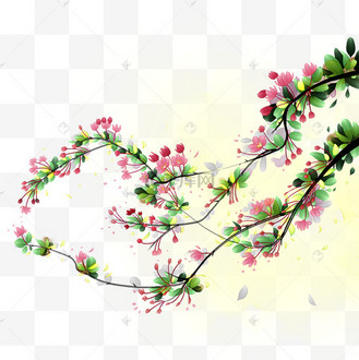 春季花开西府海棠繁花花卉植物插画