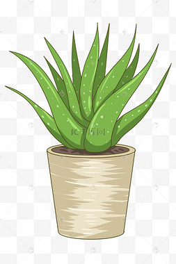 花卉自然均匀卡通芦荟盆栽png绿色c4d立体3d盆栽植物绿植一株芦荟简