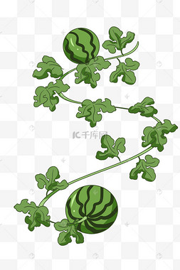 手绘水彩水果西瓜手账贴纸夏季水果西瓜绿色叶子西瓜叶子手绘夏天小孩