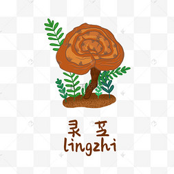 灵芝pop图片-灵芝pop图片素材免费下载-千库网