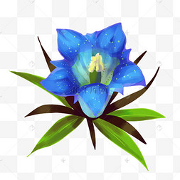 龙胆花鲜花洋桔梗龙胆鲜花实物拍摄紫色龙胆植物鲜花龙胆花枝紫色龙胆