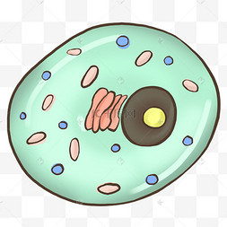 细胞绿色可爱医疗免抠