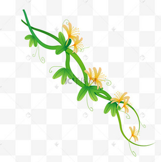 美丽花藤藤蔓插画