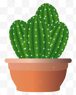 绿色的仙人掌手绘插画