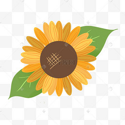 c4d立体卡通向日葵海报装饰夏季黄色太阳花元素美丽绽放的太阳花手绘