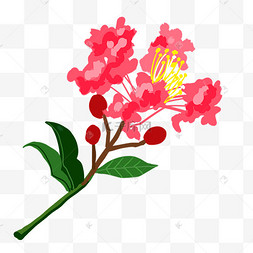 卡通玫瑰花插画绽放的大丽花盛开的芍药花紫薇花水彩风格粉红色花卉