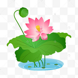 莲花手绘卡通粉色荷花手绘卡通粉色荷花中秋节粉色q版卡通时尚兔先生