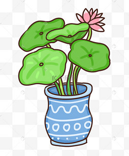 荷花花盆