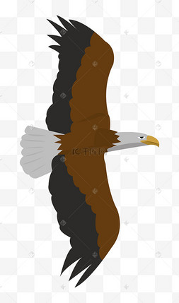 大鹏展翅水墨画png免抠素材手绘老鹰腾空展翅插画老鹰水墨画手绘插画