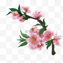 卡通手绘鲜艳桃花插画手绘一枝玫瑰花插画欧美涂鸦快餐汉堡撞色鲜艳