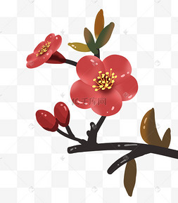 手绘山楂花花卉装饰