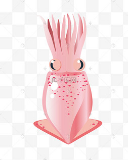 手绘粉色鱿鱼插画