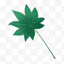 ps八角金盘图片-ps八角金盘图片素材免费下载-千库网