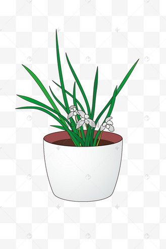 矢量卡通盆栽兰花