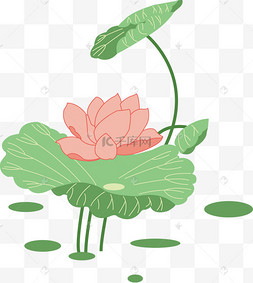 荷花采莲女消暑手绘q版十二花仙梅花卡通橙色鲜花插画复古风荷叶荷花