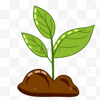 豆芽保护自然蔬菜农作物植物生长