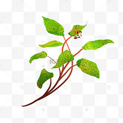 卡通植物根茎藤曼