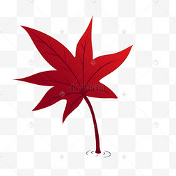 手绘唯美红色枫叶插画